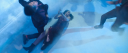 ADAA0359.PNG